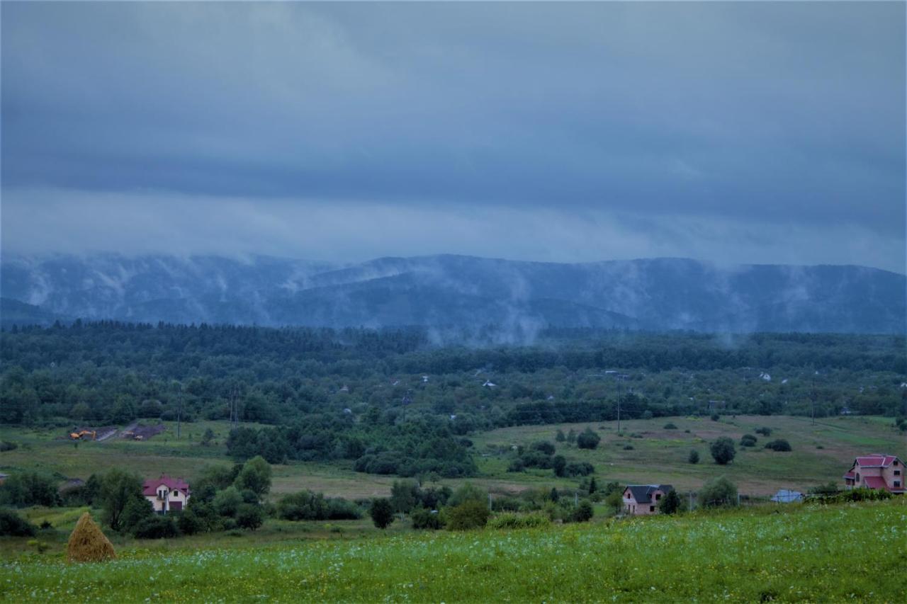 Villa Family House Truskavets Modrychi Esterno foto